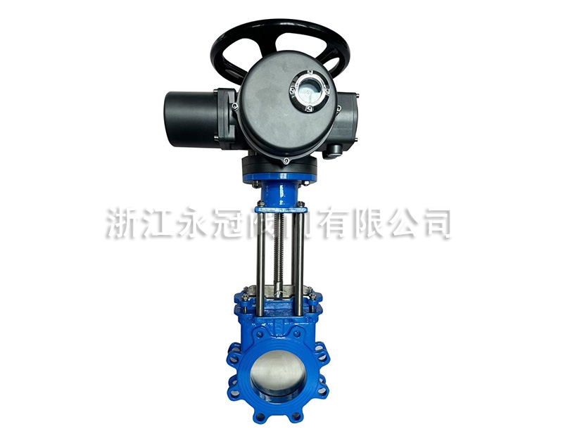 电动梅花型刀闸阀PZ973H